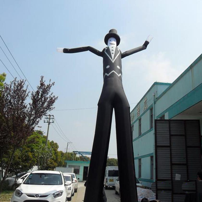 Inflatable Air Dancer A20016